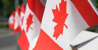 ¿Quieres trabajar en Canadá en 2025? Esta guía te muestra paso a paso cómo lograrlo desde México u otros países de Latinoamérica. Conoce los tipos de empleos disponibles, los permisos necesarios y los portales donde aplicar.