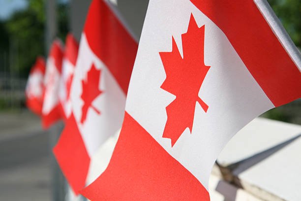 ¿Quieres trabajar en Canadá en 2025? Esta guía te muestra paso a paso cómo lograrlo desde México u otros países de Latinoamérica. Conoce los tipos de empleos disponibles, los permisos necesarios y los portales donde aplicar.