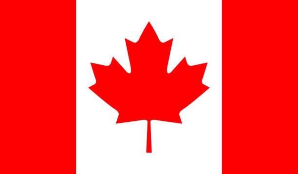 Bolsa de trabajo en Canadá para cubanos 2025: ¡Oportunidades reales!