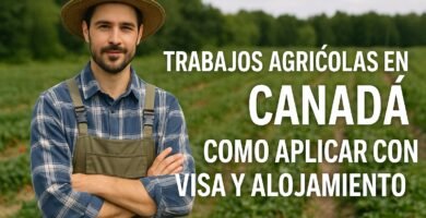 Trabajos Agrícolas en Canadá 2025: Cómo Aplicar con Visa y Alojamiento