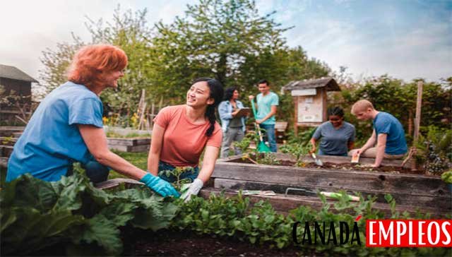 Trabajo en Agricultura en Canadá para Mexicanos