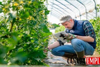 Trabajos más accesibles para latinos en Canadá sectores y requisitos